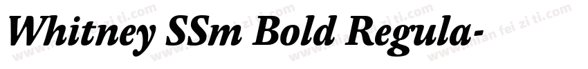 Whitney SSm Bold Regula字体转换